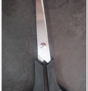 Black & Blue Small Scissors